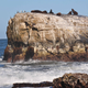 Illustration for article titled How the Chile earthquake created miles of new, "uplifted" coastline